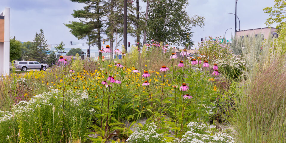 Blandin Foundation Renovation – Grand Rapids, MN -Widesth Photos August 2025 PI 34